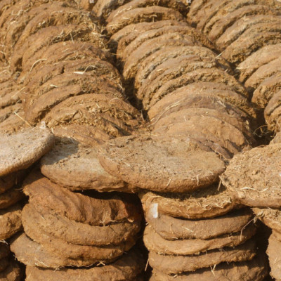 Dung Cakes (cake)